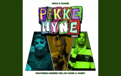 Meneer Cee ft. Jay Music, Mega x Chakie & Naiidy – Pikkewyne Remix